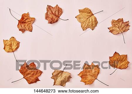 Autumn leaves View Large Photo Image Stock Image - Autumn leaves. Fotosearch
