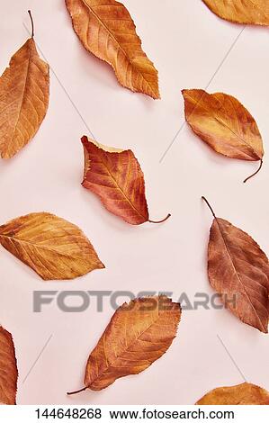 Stock Photo - Autumn leaves. Fotosearch