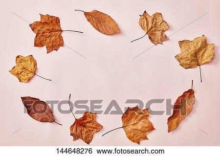 Autumn leaves View Large Photo Image Stock Photograph - Autumn leaves. Fotosearch