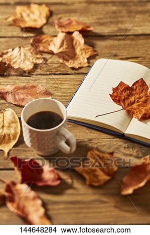 Picture - Autumn still life. Fotosearch