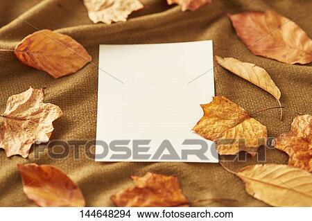 Autumn still life View Large Photo Image Picture - Autumn still life. Fotosearch