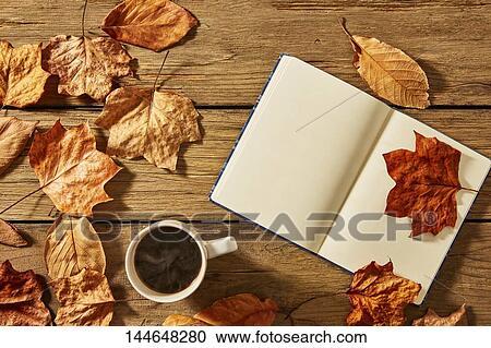 Autumn still life View Large Photo Image Stock Image - Autumn still life. Fotosearch