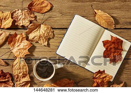 Stock Image - Autumn still life. Fotosearch