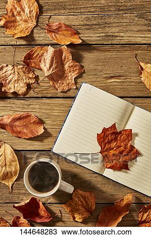 Stock Image - Autumn still life. Fotosearch