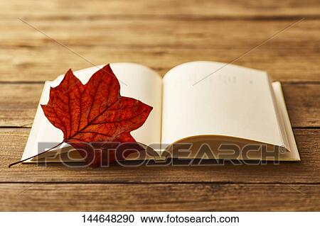 Autumn still life View Large Photo Image Stock Image - Autumn still life. Fotosearch