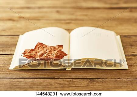 Stock Image - Autumn still life. Fotosearch