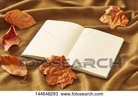 Autumn still life View Large Photo Image Stock Image - Autumn still life. Fotosearch
