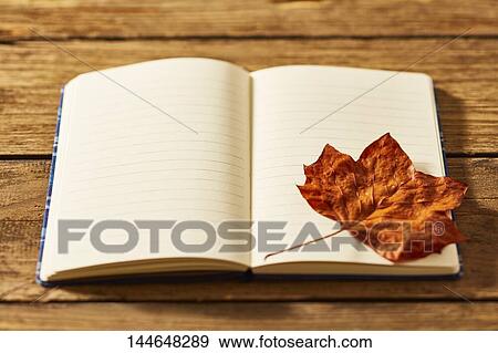 Autumn still life View Large Photo Image Stock Photo - Autumn still life. Fotosearch