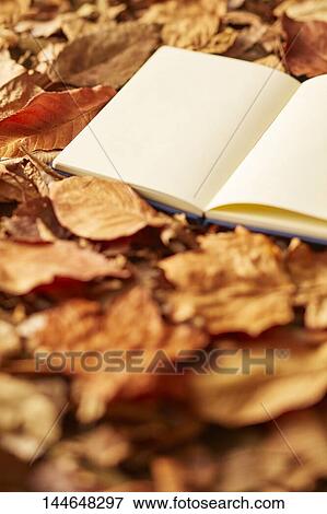 Stock Photo - Autumn still life. Fotosearch