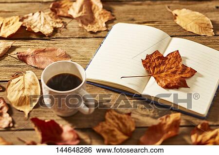 Autumn still life View Large Photo Image Stock Photograph - Autumn still life. Fotosearch