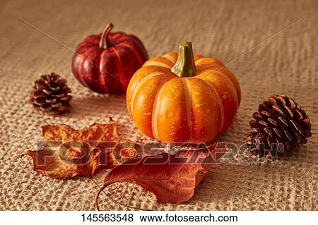 Stock Photo - Halloween. Fotosearch