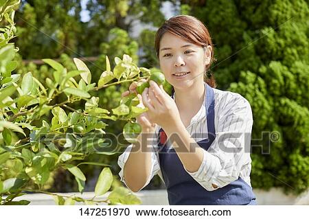 Japanese woman relaxing in the garden View Large Photo Image Stock Image - Japanese woman relaxing in the garden. Fotosearch