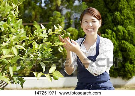Japanese woman relaxing in the garden View Large Photo Image Stock Image - Japanese woman relaxing in the garden. Fotosearch