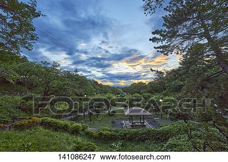 Stock Photo - Nature Park In The Evening. Fotosearch
