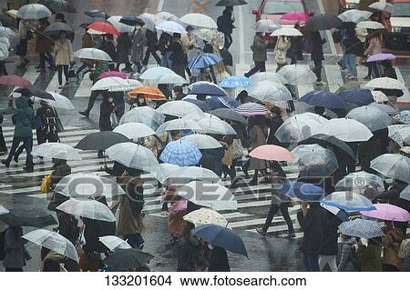 Picture - People Crossing A Crossroad On A Rainy Day In Tokyo, Japan. Fotosearch