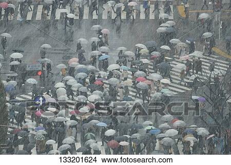 People Crossing A Crossroad On A Rainy Day In Tokyo, Japan View Large Photo Image Picture - People Crossing A Crossroad On A Rainy Day In Tokyo, Japan. Fotosearch