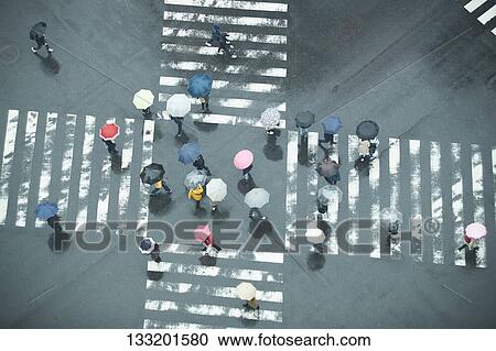 People Crossing A Crossroad On A Rainy Day In Tokyo, Japan View Large Photo Image Stock Image - People Crossing A Crossroad On A Rainy Day In Tokyo, Japan. Fotosearch