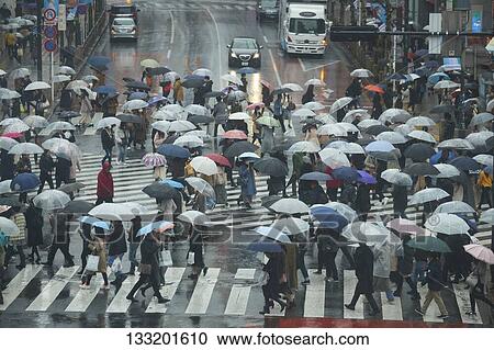 People Crossing A Crossroad On A Rainy Day In Tokyo, Japan View Large Photo Image Stock Image - People Crossing A Crossroad On A Rainy Day In Tokyo, Japan. Fotosearch