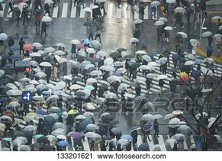 People Crossing A Crossroad On A Rainy Day In Tokyo, Japan View Large Photo Image Stock Image - People Crossing A Crossroad On A Rainy Day In Tokyo, Japan. Fotosearch