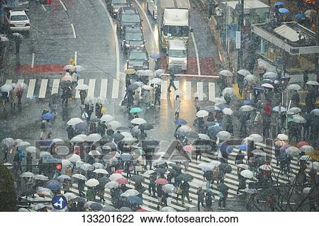 People Crossing A Crossroad On A Rainy Day In Tokyo, Japan View Large Photo Image Stock Image - People Crossing A Crossroad On A Rainy Day In Tokyo, Japan. Fotosearch