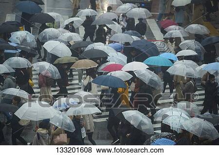People Crossing A Crossroad On A Rainy Day In Tokyo, Japan View Large Photo Image Stock Photo - People Crossing A Crossroad On A Rainy Day In Tokyo, Japan. Fotosearch