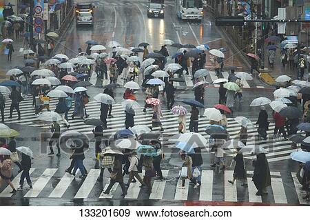 People Crossing A Crossroad On A Rainy Day In Tokyo, Japan View Large Photo Image Stock Photo - People Crossing A Crossroad On A Rainy Day In Tokyo, Japan. Fotosearch
