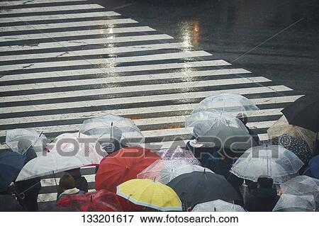 People Crossing A Crossroad On A Rainy Day In Tokyo, Japan View Large Photo Image Stock Photo - People Crossing A Crossroad On A Rainy Day In Tokyo, Japan. Fotosearch