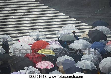 People Crossing A Crossroad On A Rainy Day In Tokyo, Japan View Large Photo Image Stock Photo - People Crossing A Crossroad On A Rainy Day In Tokyo, Japan. Fotosearch