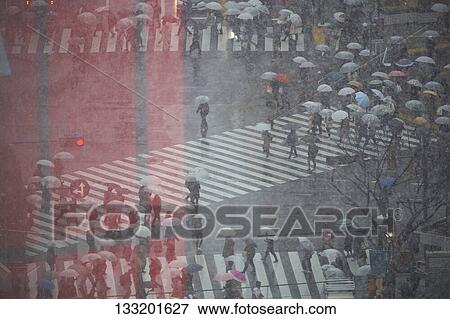 People Crossing A Crossroad On A Rainy Day In Tokyo, Japan View Large Photo Image Stock Photo - People Crossing A Crossroad On A Rainy Day In Tokyo, Japan. Fotosearch