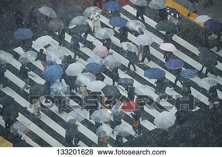 People Crossing A Crossroad On A Rainy Day In Tokyo, Japan View Large Photo Image Stock Photo - People Crossing A Crossroad On A Rainy Day In Tokyo, Japan. Fotosearch