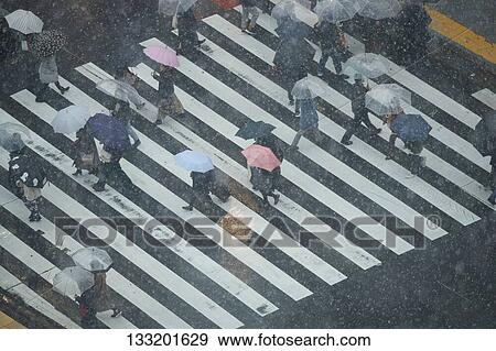 Stock Photo - People Crossing A Crossroad On A Rainy Day In Tokyo, Japan. Fotosearch
