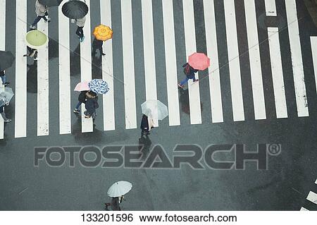 People Crossing A Crossroad On A Rainy Day In Tokyo, Japan View Large Photo Image Stock Photograph - People Crossing A Crossroad On A Rainy Day In Tokyo, Japan. Fotosearch