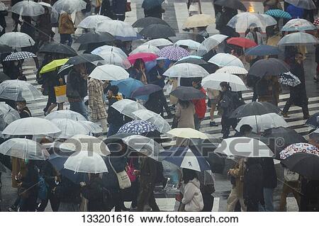 Stock Photograph - People Crossing A Crossroad On A Rainy Day In Tokyo, Japan. Fotosearch