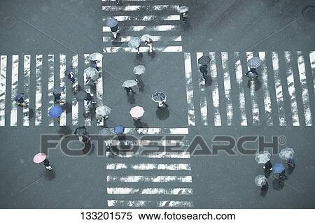People Crossing A Crossroad On A Rainy Day In Tokyo, Japan View Large Photo Image Stock Photography - People Crossing A Crossroad On A Rainy Day In Tokyo, Japan. Fotosearch