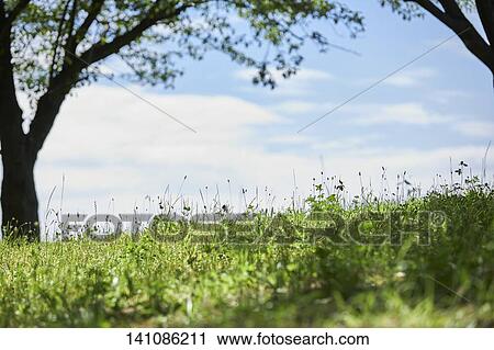 Road View Large Photo Image Stock Image - Road. Fotosearch