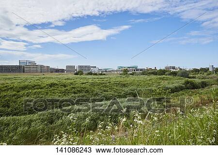 Stock Image - Road. Fotosearch
