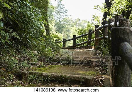 Road View Large Photo Image Stock Photo - Road. Fotosearch