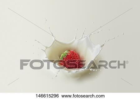 Strawberry splashing into milk View Large Photo Image Stock Photograph - Strawberry splashing into milk. Fotosearch