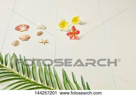 Stock Image - Summer still life. Fotosearch
