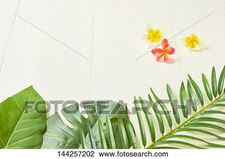 Stock Image - Summer still life. Fotosearch