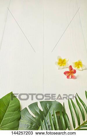 Stock Image - Summer still life. Fotosearch