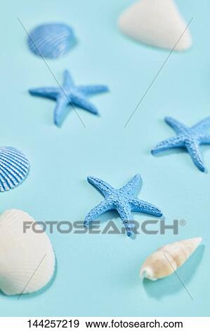 Stock Photo - Summer still life. Fotosearch