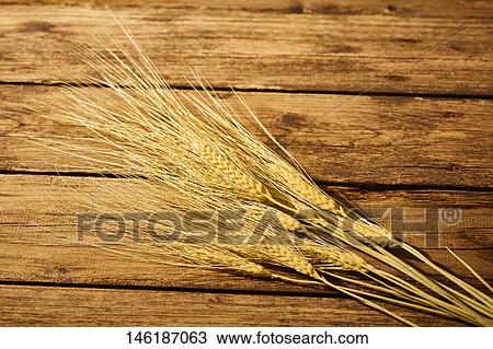 Wheat View Large Photo Image Stock Image - Wheat. Fotosearch