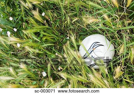Stock Image - Ball in long grass. Fotosearch