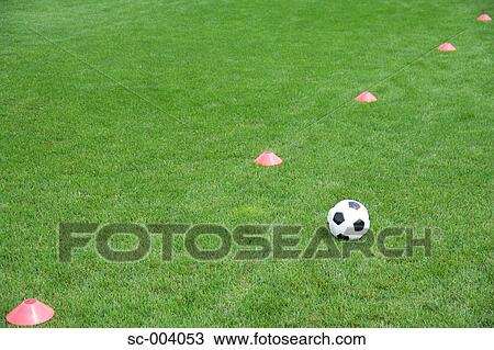 Ball and cones on grass View Large Photo Image Stock Image - Ball and cones on grass. Fotosearch
