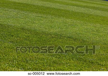 Soccer pitch View Large Photo Image Stock Image - Soccer pitch. Fotosearch