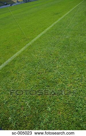 Soccer pitch View Large Photo Image Stock Image - Soccer pitch. Fotosearch