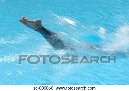 Female Swimmer Diving View Large Photo Image Stock Image - Female Swimmer Diving. Fotosearch