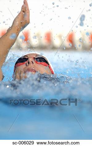 Female Swimmer Swimming Backstroke View Large Photo Image Stock Photo - Female Swimmer Swimming Backstroke. Fotosearch