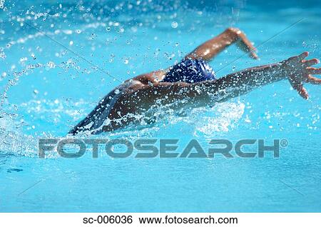 Female Swimmer Swimming Butterfly View Large Photo Image Stock Photograph - Female Swimmer Swimming Butterfly. Fotosearch